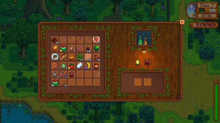 How To Get The Raccoon Family in Stardew Valley