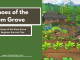 Echoes of the Plum Grove Beginner Survival Tips