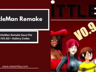 LittleMan Remake Save File (V0.42) + Gallery Codes