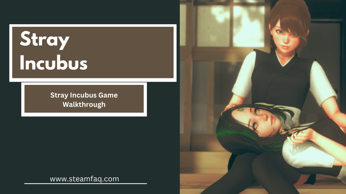 Stray Incubus Game Walkthrough