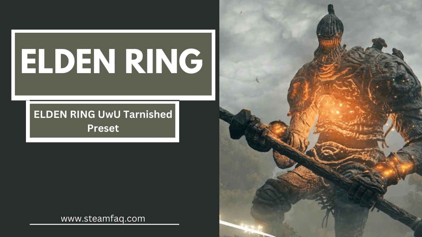 ELDEN RING UwU Tarnished Preset