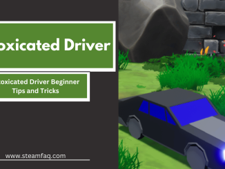 Intoxicated Driver Beginner Tips and Tricks
